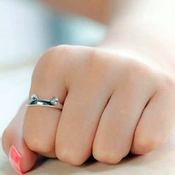 Imagen de anillo con orejas y patas de gato puesto en dedo